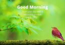 [Latest] Good Morning Whatsapp Status Images free download